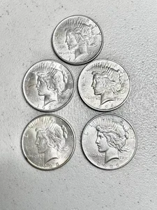 Peace Silver Dollars 1921-1935 Lot of 5 Uncirculated 90% Silver Coin Mixed Year - Picture 1 of 2
