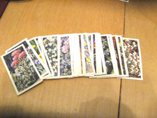 41 brooke bond tea cards WILD FLOWERS SERIES 3