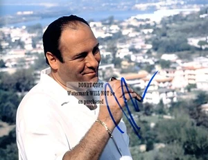 JAMES GANDOLFINI SOPRANOS 8 x10" handsigniertes handsigniertes Foto. - Bild 1 von 1