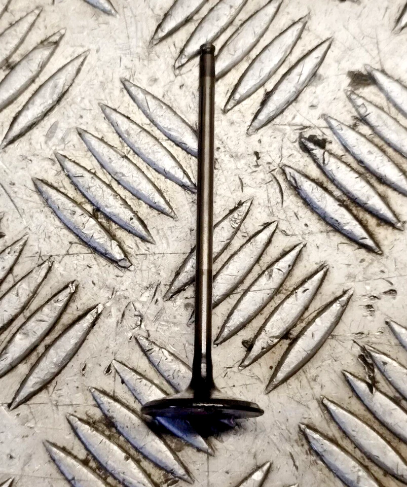 HONDA CB600F HORNET 2007 07 12 CULATA VÁLVULA ADMISIÓN CBR600RR Foto 1 de 1