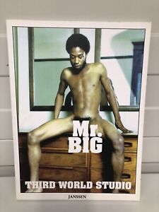 Mr 'big': The African American Models of Third World Studios Janssen 2001 