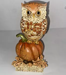 Jim Shore Heartwood Creek Raccolto Gufo su Zucca Autunno Statuina 6" 6001542 - Foto 1 di 8