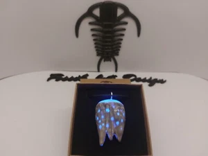 Fossil Balanus Pendente Glow in the dark Art.1 bpgd - Foto 1 di 21
