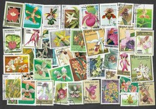 Orchids on stamps 100 all different collection