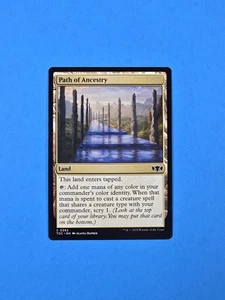 1x Path Of Ancestry Tarkir Dragonstorm Commander TDC 2025 Mtg Magic Land 382 - Bild 1 von 2