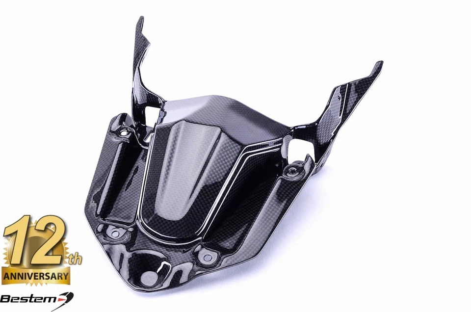 Carenado de nariz delantero Triumph Tiger 800 100 % fibra de carbono bajo cubierta soporte de pico Foto 1 de 4