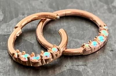 1шт пять CZ драгоценных камней на петлях сегмента кольцо 16g перегородки кликер 316L хирургическая сталь  - Изображение 1 из 3