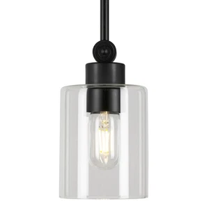 Forte Lighting 2614-01 Jayden 5"W Mini Pendant - Black - Picture 1 of 6