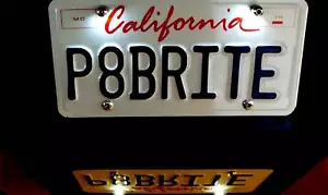 Polished Stainless Street Rod Customs LED Tag Lights - Bild 1 von 1