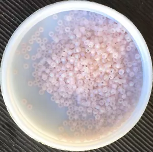 11/0 Miyuki Japanese Seed Beads, Matt Tr Light Tea Rose AB (9155FR), 10g - Picture 1 of 1