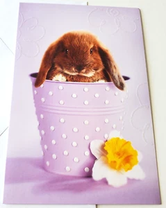 Tarjeta de Pascua Brillante Lindo Conejo en Púrpura Hippity Hoppity Happity Pascua - Imagen 1 de 3