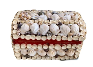 Hand Created Sea Shell & Fish Vertebra Covered Trinket Box, Nautical Theme - Picture 1 of 10