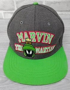 Six Flags Marvin The Martian Snap Back Hat Cap Adult Tweed Background - Picture 1 of 9