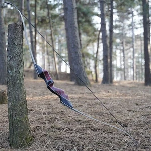 30lbs 60" Takedown Traditional Longbow Recurve Bow Hunting Bow for Youth Adult - Picture 1 of 8