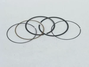 Nuevo conjunto de anillos Briggs and Stratton OEM número de pieza 791936 - Imagen 1 de 1