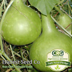 20+ Bottle Gourd Seeds Non-GMO Birdhouse Craft Asian Buddha Squash Vegetable USA
