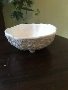NEW VIETRI Acquatico Sea Urchin Small Bowl White Set of 4 - Picture 1 of 3