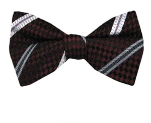 Boy's Burgundy Stripe Silk Designer Pre-Tied Woven Bowtie- NWT - Picture 1 of 1