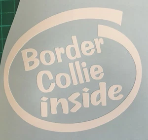 BORDER COLLIE INSIDE ON BOARD CAR WINDOW STICKER DECAL IN WHITE ALL COLOURS MADE - Picture 1 of 4
