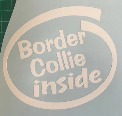 BORDER COLLIE INSIDE ON BOARD CAR WINDOW STICKER DECAL IN WHITE ALL COLOURS MADE - Image 1 of 4