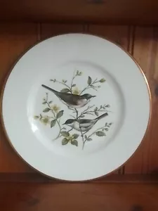 10.5 Inch Coalport British Birds The Whitethroat Collector's Plate - Foto 1 di 2