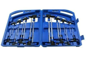 US PRO 16pz Manico a T Sfera Esagonale & Torx Set TRX-STAR 2-10mm, T10-50 B1587 - Foto 1 di 3