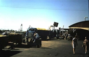 Orig Slide, Fruit Packing Plant / Loading Oranges in a Vintage Truck - 1967 - Picture 1 of 1
