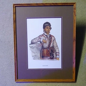 McKenney & Hall 'Mistippee' Framed Print, very good, circa 1836-44, repro(?) - Picture 1 of 10