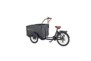 E-Lastenräder Caboocargo Lastenrad, enviolo,250W Hub Motor,48 V 13,4 Ah akku - Bild 1 von 10