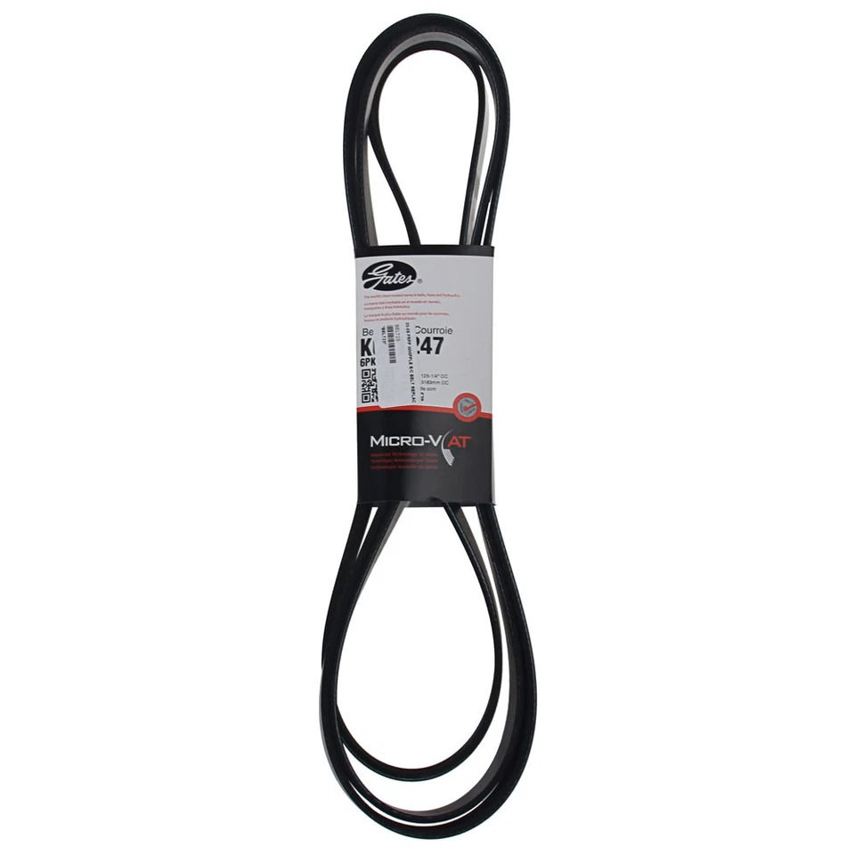 Cinturón Supercargador Mustang con Ford Performance/Kit Whipple 2005-2009 Foto 1 de 1