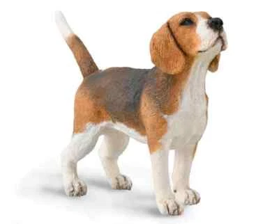 CollectA NUEVO * Beagle * 88935 Perro Breyer Figura Juguete Réplica Foto 1 de 4