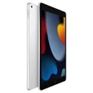 Apple iPad 9, 10.2 in. 256 GB, Wifi, A13 Bionic Chip with Neural Engine - Picture 1 of 9