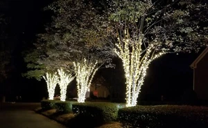 4 x Commercial 10M 100 LED Outdoor Christmas Lights - Picture 1 of 9