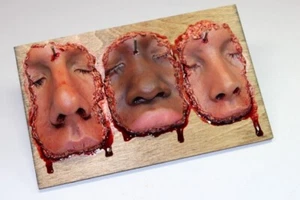 PARTIAL FACE NOSE WITH LIDS & LIP PIECES ON WOODEN PLAQUE HORROR HALLOWEEN PROP - Picture 1 of 8