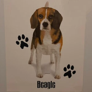 BEAGLE DOG BREEDS PROFILE DESIGNS SHIRT (FRONT PRINT ONLY) - Picture 1 of 3