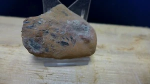 GEOLOGICAL ENTERPRISES Cretaceous fossil fish pieces on matrix Teleost sp. undt. - Picture 1 of 4