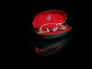 JF Rey 2398  3565 Eyeglasses Designer Frames in hard case - Picture 1 of 16