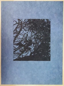 Arthur Rackham  Jugendstil Druck  "Sommernachtstraum"  31,5 x 23,5 cm - Bild 1 von 1