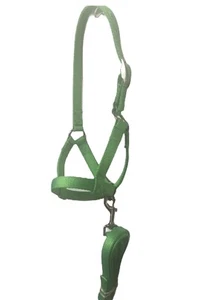 Newborn. Calf, Yearling, Cow, Bull Halter With Leash Lead Double Ply USA Made - Picture 1 of 16