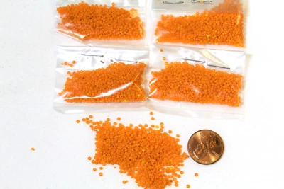 Micro cuentas de semillas antiguas/de colección - 15/0 ricas zanahoria naranja opacas - bolsas de 4 g Foto 1 de 4