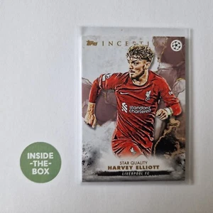 Elliott Liverpool Inception UEFA UCC 2022-23 Harvey - Picture 1 of 1