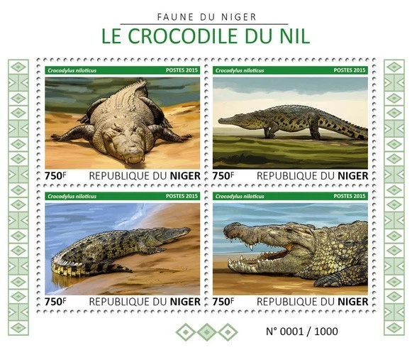 Cocodrilo Foto 1 de 1