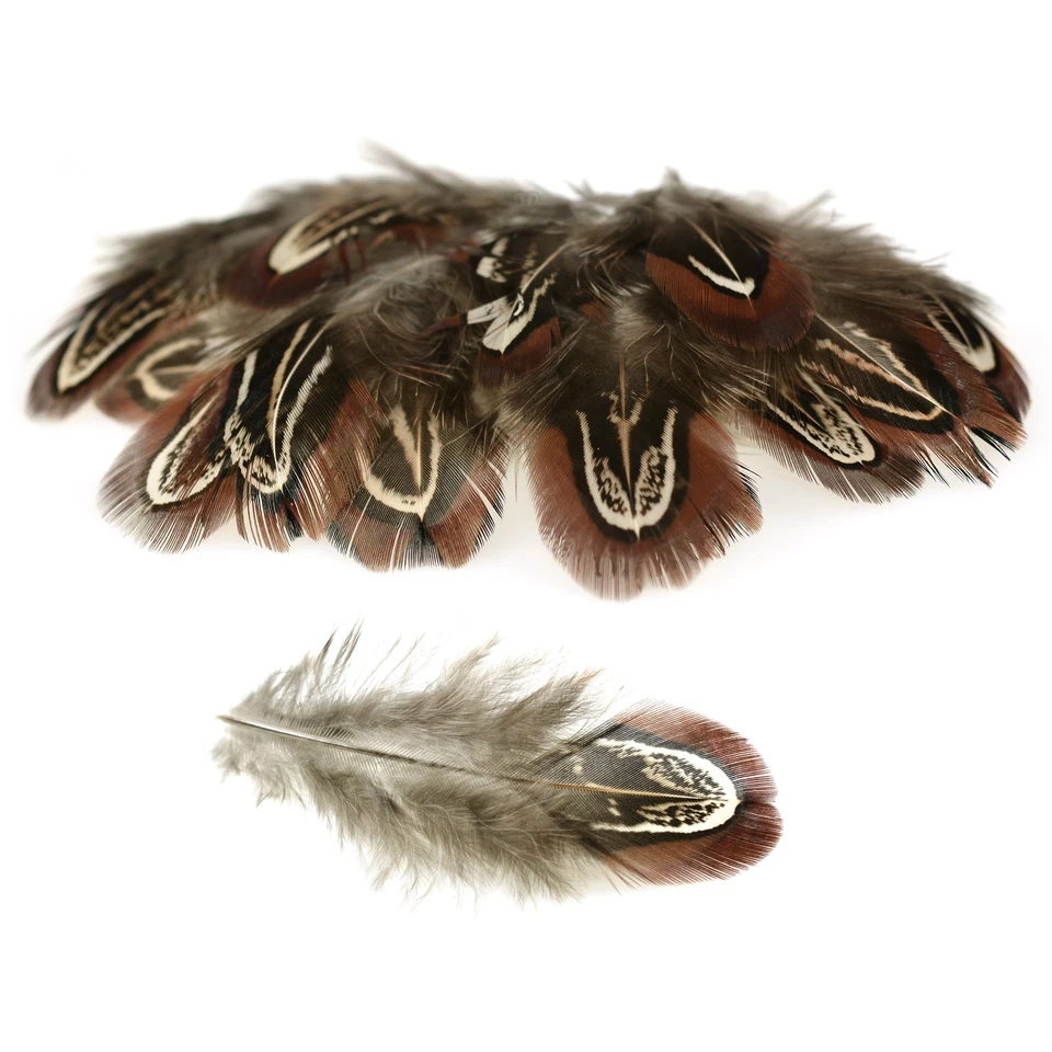 20 Hühnerfedern f. Federkostüm ca. 4~8x1~2cm gefärbt, braun (2,70€/1BG) - Bild 1 von 1
