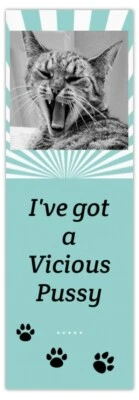 I've got a Vicious Pussy BOOKMARK*Rude*Funny*Joke*Adult*Xmas gift*Book Mark*Cat*