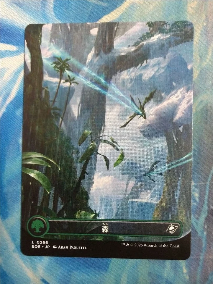 MTG Forest Borderless Japanese EOE L0266 Adam Paquette NM - Image 1 of 1