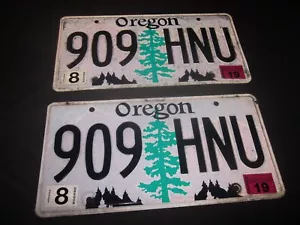 OREGON Tree KENNZEICHEN PAAR 909 HNU Pinetree 2019 - Bild 1 von 6