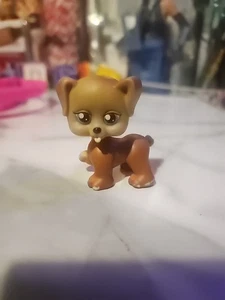 Littlest Pet Shop Brown Dog W Blue Eyes 2" LPS - Picture 1 of 2