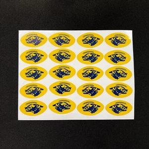 Michigan Wolverines - 10 Sets of Full Size Football Helmet Award Decals - Picture 1 of 1