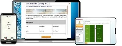 Koreanisch lernen Fachwortschatz C1+C2 Vokabeltrainer Onlinekurs Sprachenlernen2 - Bild 1 von 4