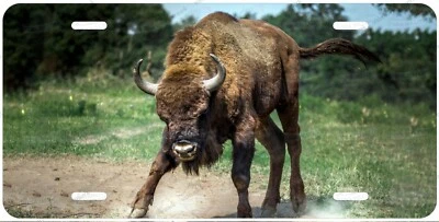Angry Bison Animal Art Personalized License Plate Tag For Auto ATV Car Bike - Image 1 of 3